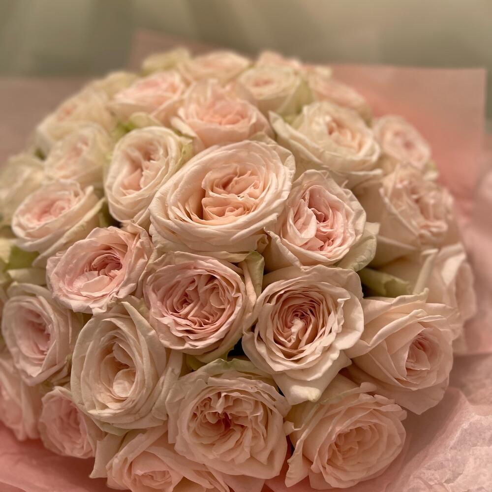 Пионовидная Роза Пионовидная Роза