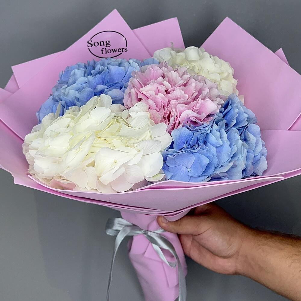 M Hydrangea